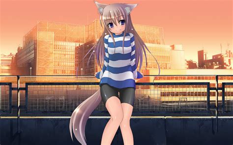 cat girl hentia|New Videos Tagged with cat girl (1,050)